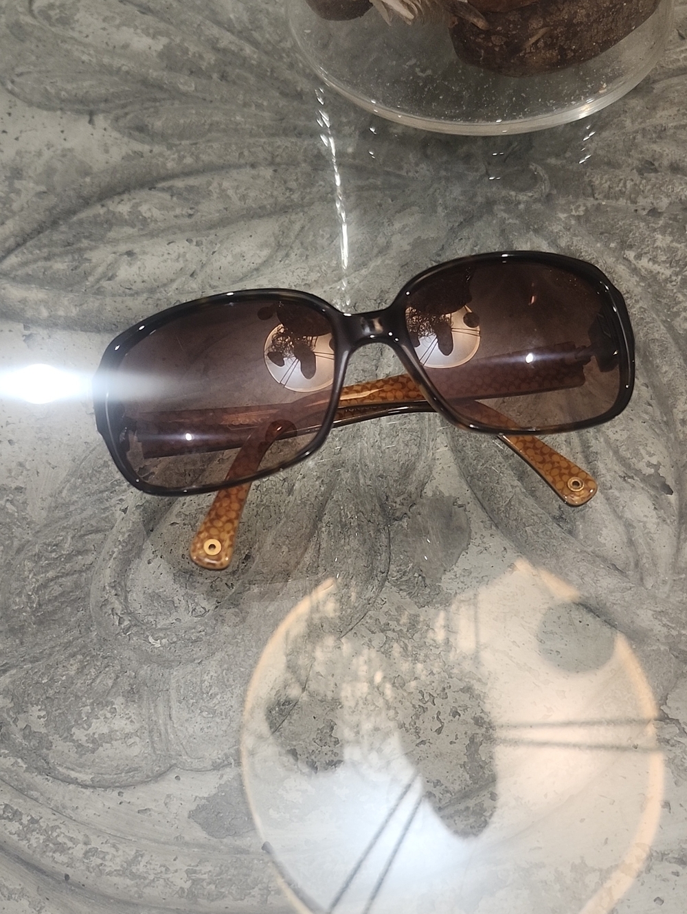 Coach Eva Womens 436 Brown Tortoise Sunglasses S